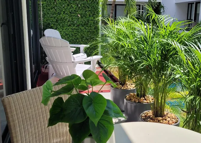 Stunning 1 Bdrm Gym-pool 10 Min To The & Quinta Av * Playa del Carmen